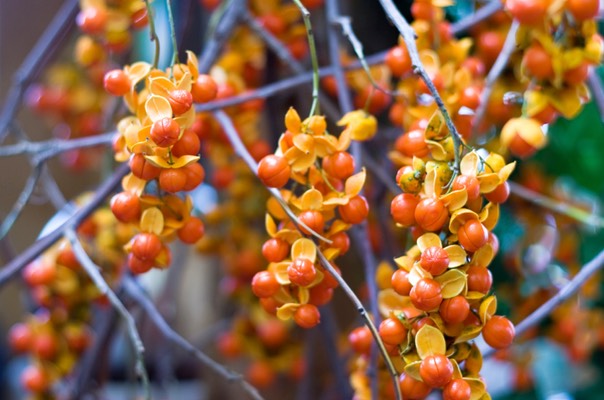 iStock 000007217384 Small