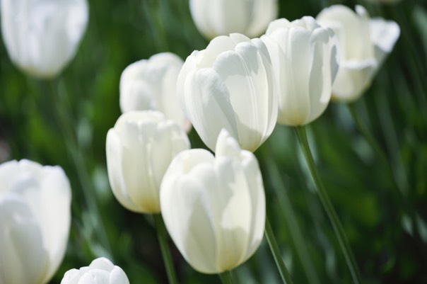 iStock 000009416008 Small
