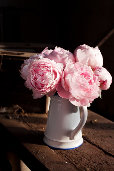 iStock 000040699104 Small